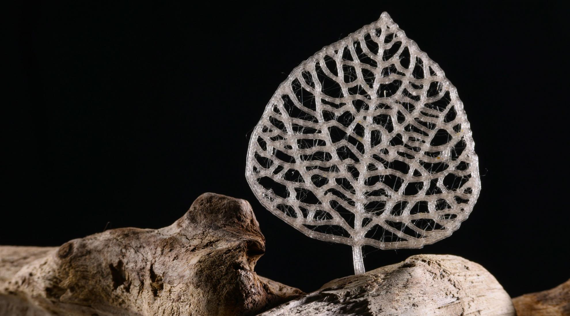 Plastic made from biomass