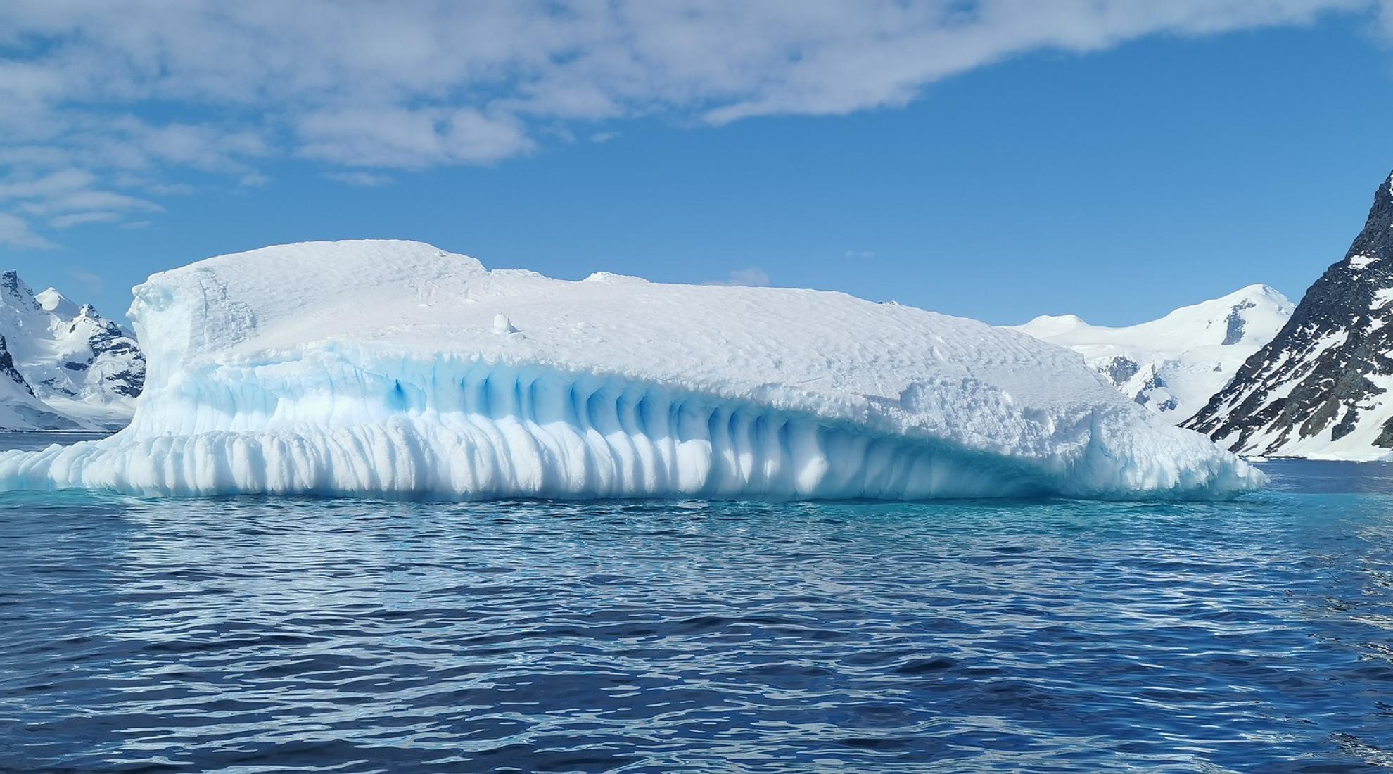 Antarctic