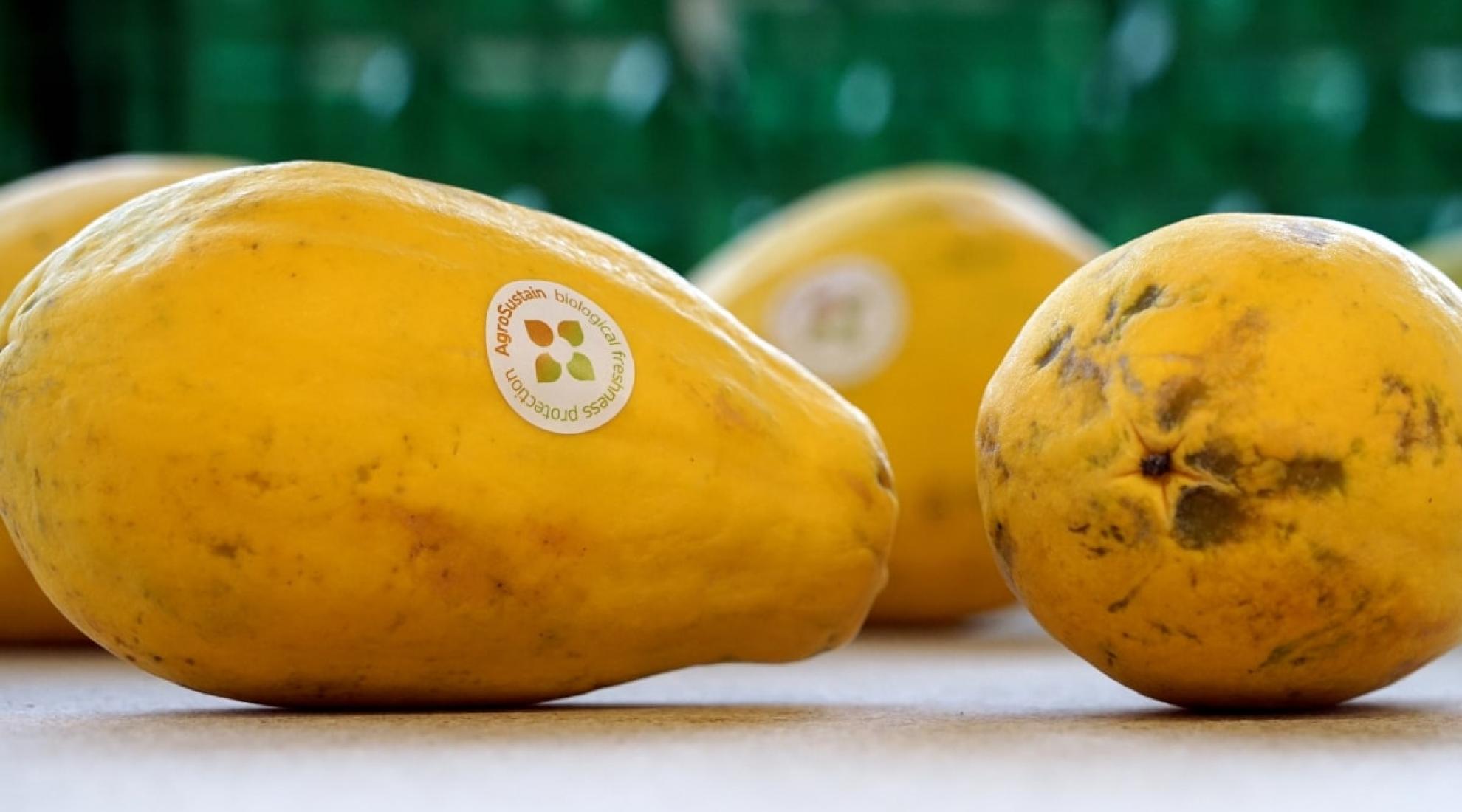 Agrosustain