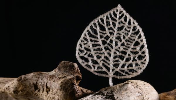 Plastic made from biomass
