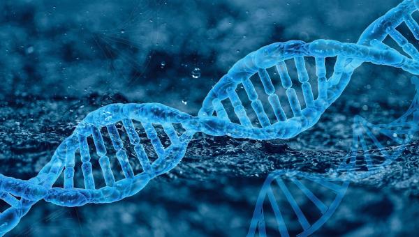 Biotech dna