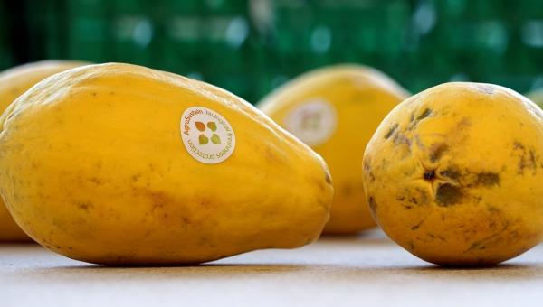 Agrosustain