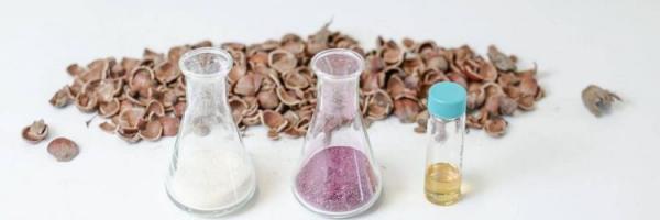 Bloom Biorenewables 