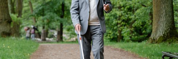 AI copilot for visually impaired people