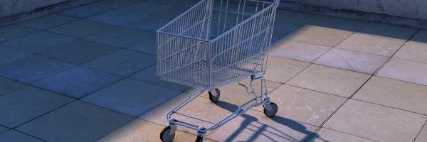 AI Retailer Systems