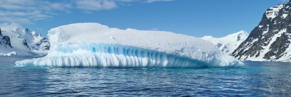 Antarctic