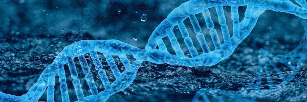 Biotech dna