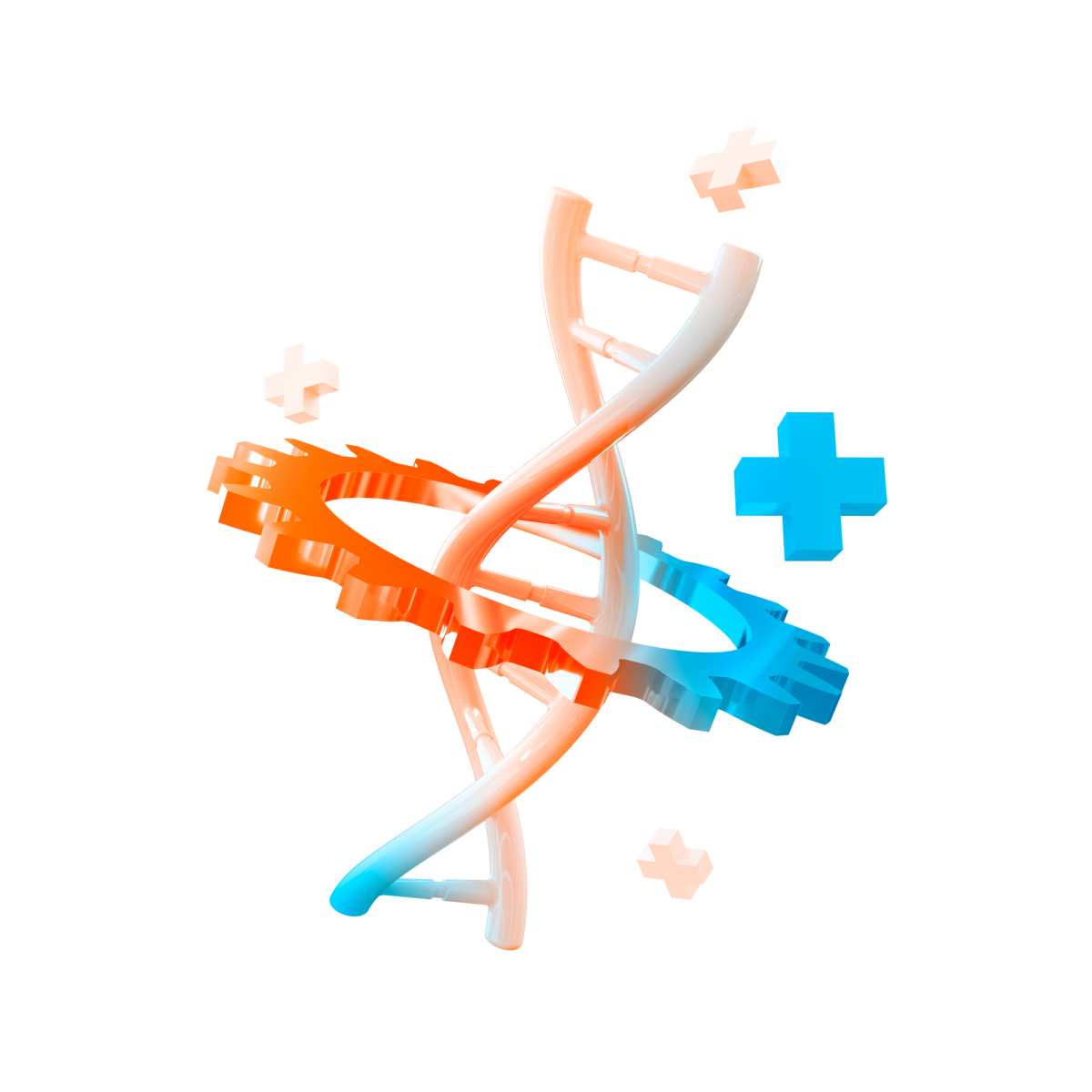 A strand of dna through a gear 